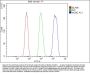 Anti-MCM2 Antibody Picoband®