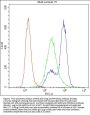 Anti-Myosin Phosphatase/PPP1R12A Antibody Picoband®