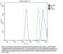 Anti-MCM2 Antibody Picoband®