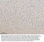Anti-Myelin-associated glycoprotein MAG Antibody Picoband®