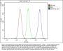 Anti-SNAP23 Antibody Picoband®