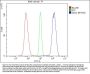 Anti-Daxx Antibody Picoband®