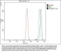 Anti-RIAM/APBB1IP Antibody Picoband®