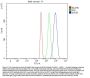Anti-Mannose 6 Phosphate Receptor (Cation independent)/IGF2R Antibody Picoband®