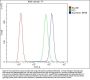 Anti-ALDH7A1 Antibody Picoband®