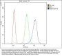 Anti-AMFR Antibody Picoband®