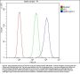 Anti-AMFR Antibody Picoband®
