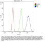 Anti-PML Protein Antibody Picoband®
