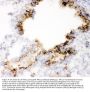 Anti-MUC1 Antibody Picoband™