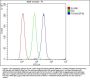 Anti-CD11b/ITGAM Antibody Picoband®