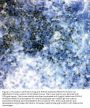 Anti-RUNX1/AML1 Antibody Picoband®
