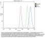 Anti-GCLC Antibody Picoband®