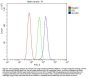 Anti-Ionotropic Glutamate receptor 2/GRIA2 Antibody Picoband®