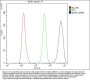 Anti-MCM7 Antibody Picoband®