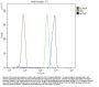 Anti-MCM7 Antibody Picoband®