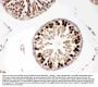 Anti-PBK Antibody Picoband®