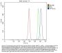 Anti-PP2A-alpha/PPP2CA Antibody Picoband®