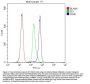 Anti-CD46 Antibody Picoband®