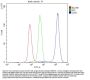 Anti-CDK1 Antibody Picoband®