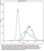 Anti-Cytochrome P450 1A1/CYP1A1 Antibody Picoband®