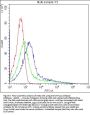 Anti-Cytochrome P450 1A1/CYP1A1 Antibody Picoband®