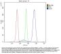 Anti-Ikaros/IKZF1 Antibody Picoband®