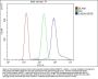 Anti-S100A9 Antibody Picoband®
