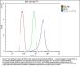 Anti-MRP8/S100A8 Antibody Picoband®