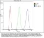 Anti-ROC1/RBX1 Antibody Picoband®
