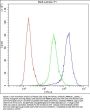 Anti-Apolipoprotein A I/APOA1 Antibody Picoband®