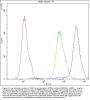 Anti-Apolipoprotein A I/APOA1 Antibody Picoband®