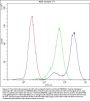 Anti-Factor I/CFI Antibody Picoband®