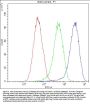 Anti-Factor I/CFI Antibody Picoband®