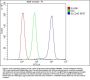 Anti-Glucose Transporter 5 GLUT5/SLC2A5 Antibody Picoband®