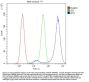 Anti-CRM1/XPO1 Antibody Picoband®