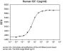 Human IGF-I Recombinant Protein