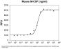 Mouse M-CSF Recombinant Protein