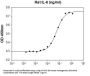 Rat IL-6 Recombinant Protein