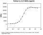 Feline IL-2 (C146S) Recombinant Protein
