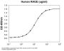 Human RAGE Recombinant Protein