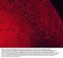Anti-EAAT2/GLT-1/SLC1A2 Antibody PicobandÂ®