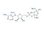 ATP disodium