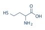 DL-Homocysteine