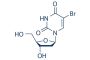 BrdU (Bromodeoxyuridine)