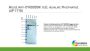 Mouse anti-DYKDDDDK IgG: Alkaline Phosphatase;100ug