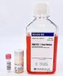 KBM VEC-1 (Supplement for culturing vascular endothelial cells)