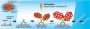 N-Histofine Simple Stain Rat MAX PO (M)