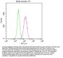 NES Monoclonal Antibody