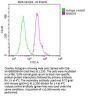 NANOG Monoclonal Antibody