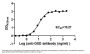 DXD Monoclonal Antibody, HRP conjugated